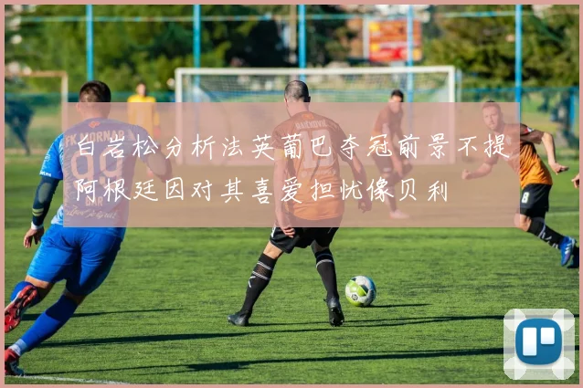 白岩松分析法英葡巴夺冠前景不提阿根廷因对其喜爱担忧像贝利